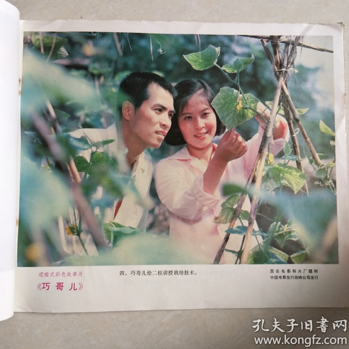 遮幅式彩色故事片《巧哥儿》 电影海报