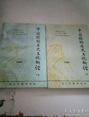 中国旅游历史文化概论（上 下）2本合售