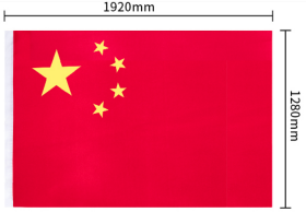 世界语3号大会旗