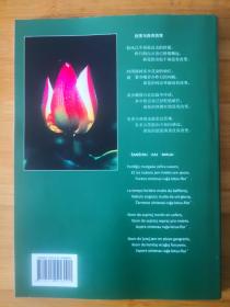 翻译与比较(Traduko kaj Komparo)