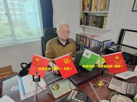 世界语8号桌旗