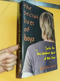 英文        The  Secret Lives of boys