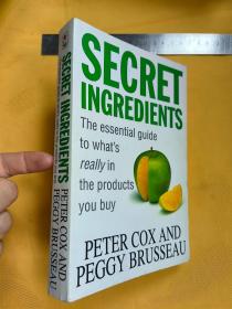 英文   Secret Ingredients