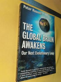 英文        The Global Brain Awakens: Our Next Evoluionary Leap