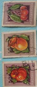 匈牙利水果信销邮票  3