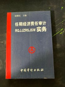 任期经济责任审计实务