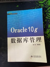 Oracle 10g数据库管理——万水Oracle技术丛书