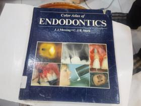 color atlas of endodontics