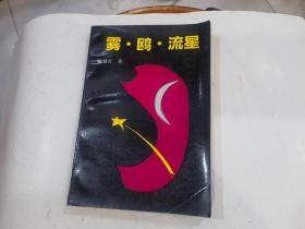 雾·鸥·流星