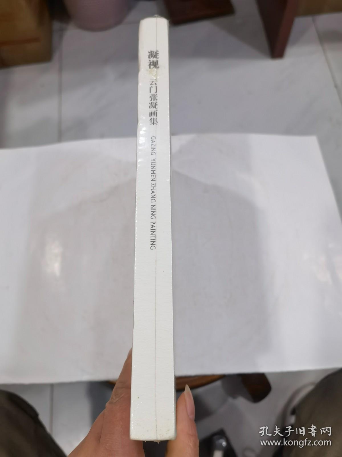 凝视云门张凝画集精装原封店