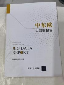 中東歐大數據報告