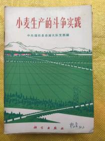 小麦生产的斗争实践 中共偃师县岳滩大队支部