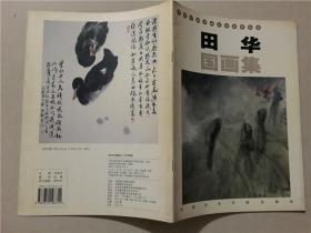 当代中国书画艺术家精品集：田华国画集 2003年1版1印  八五品