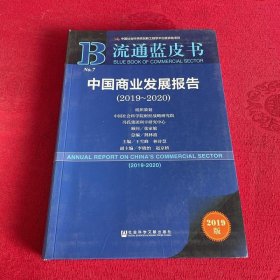 流通蓝皮书：中国商业发展报告(2019~2020)