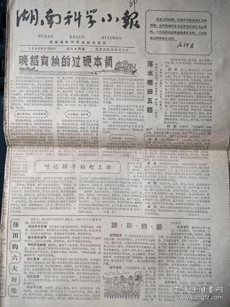 生日報：《湖南科學小報》1965年5月20日