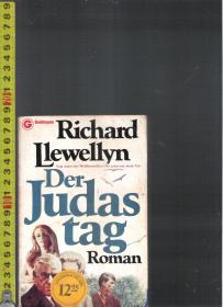 【优惠特价】|外文旧书| 原版德语小说 Der Judastag / Richard Llewellyn【店里有许多德文原版小说欢迎选购】