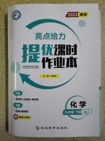 2023春季 亮点给力提优课时作业本化学九年级下册 HJ