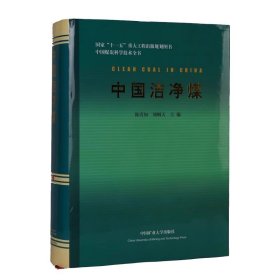 全新正版 中国洁净煤 陈清如 中国矿业大学出版社 9787564604097