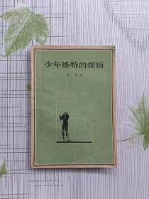 少年威特的煩惱