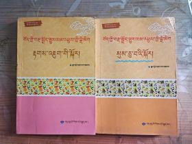 新编藏语文文法强化训练（藏文）（全二册）