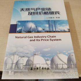 天然气产业链及其价格研究