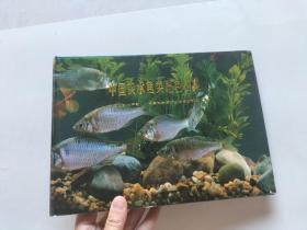 中国淡水鱼类原色图集3 第三集