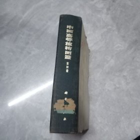 中国高等植物图鉴第四册