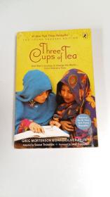Three Cups of Tea(Young Readers Edition)