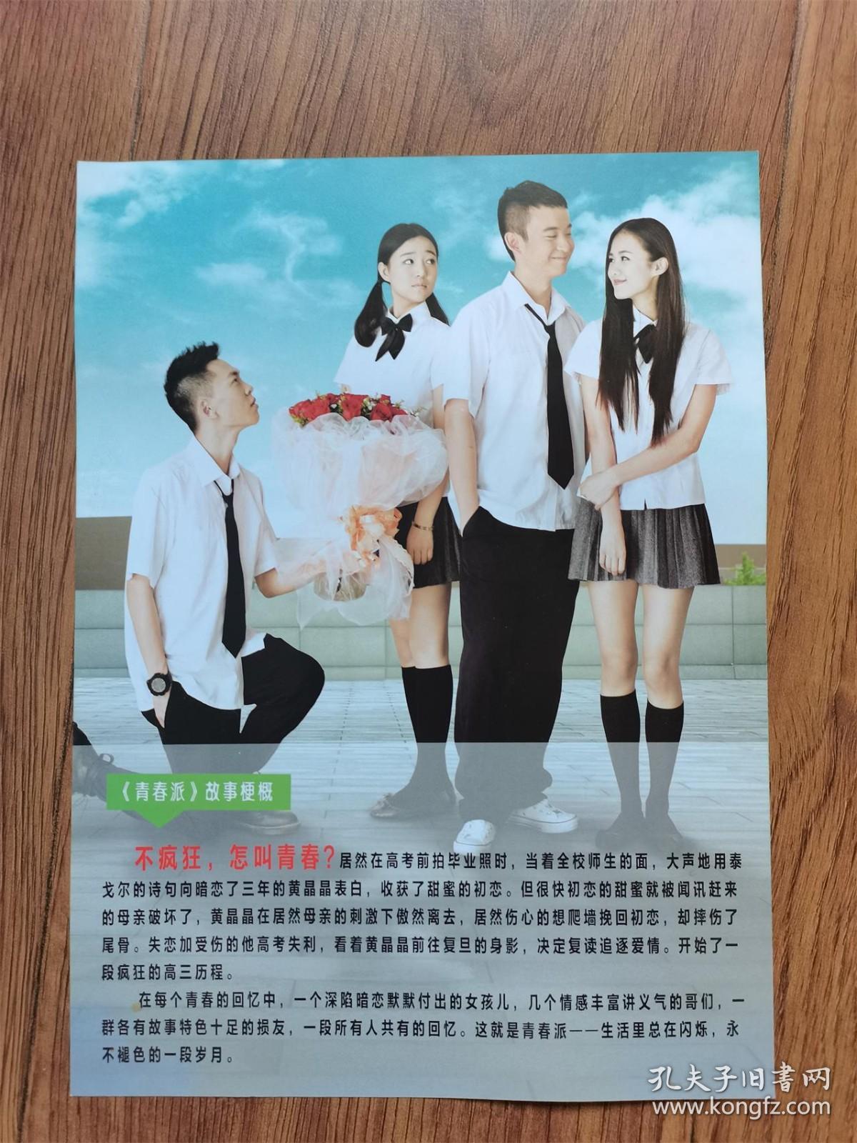 电影海报: 青春派