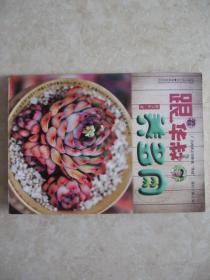 跟着华叔养多肉（16开彩色图文版）
