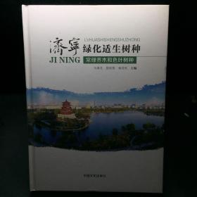 济宁绿化适生树种 常绿乔木和色叶树种