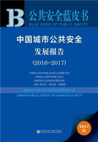 中国城市公共安全发展报告