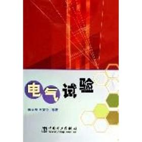 电气试验 陈天翔 中国电力出版社