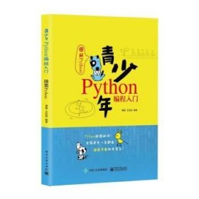 青少年Python编程入门(图解Python)9787121395543 傅骞电子工业出版社