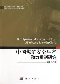 [按需印刷]中国煤矿安全生产动力机制研究