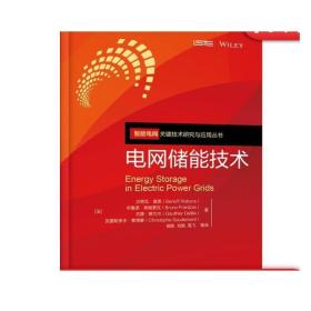 正版 电网储能技术 贝努瓦 雷恩 电能储存 电网 功率 时间常数 能量损失 效率 老化 成本 压缩空气 电力系统 发电管理程序