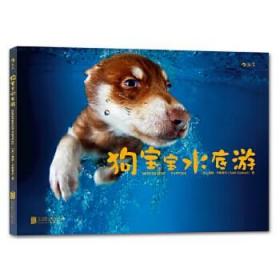 狗宝宝水底游 动物摄影书摄影艺术作品集宠物犬影集书籍 赛斯·卡斯蒂尔 北京联合出版有限责任公司