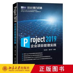 正版 Project 2019企业项目管理实践 张会斌 董方好 著 北京大学出版社