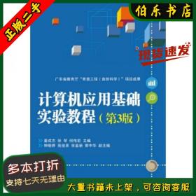 二手計算機應用基礎實驗教程董成杰，徐琴，何偉宏 編 電子工業
