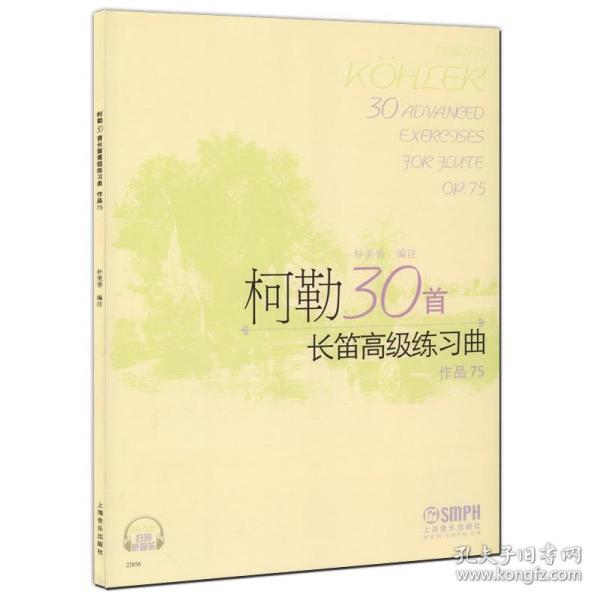 长笛独奏名曲谱子_长笛谱子千与千寻(5)