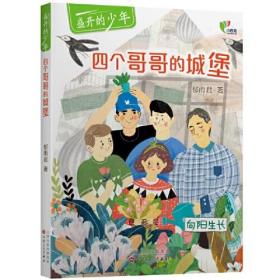 四个哥哥的城堡
