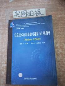 信息技术应用基础习题集与上机指导