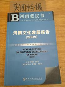 河南文化发展报告（2008）
