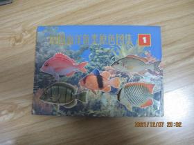 中国海洋鱼类原色图集1    16开精装本