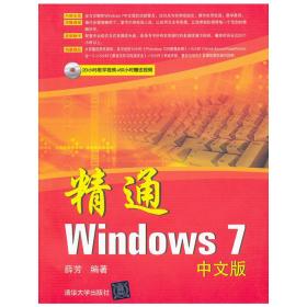 精通Windows7中文版