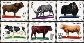 【惜墨舫】 T63 畜牧业－牛邮票 集邮 成套邮票 新中国邮票 JT票 纪念邮票 特种邮票 保真原胶邮票 儿时童年记忆 怀旧岁月 回忆往事 收藏珍藏 70后80后90后喜欢的商品