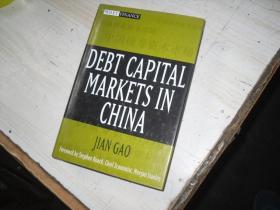 中国债券资本市场 英文版                                2-969