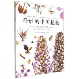 奇妙的中国植物（全4册）：荒漠草原篇  （彩绘版）（系列书不单