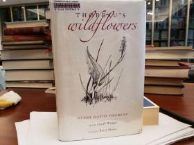 Thoreau's Wildflowers