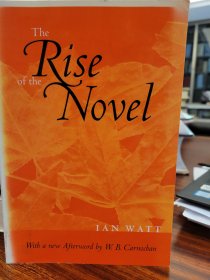 The Rise of the  Novel